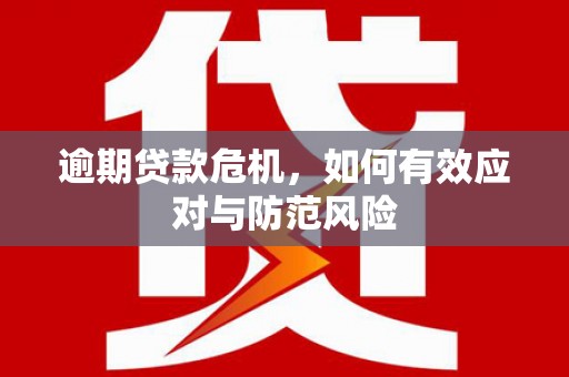 九龙城逾期贷款危机，如何有效应对与防范风险