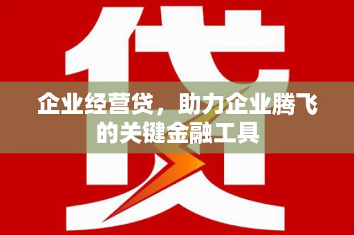 九龙城企业经营贷，助力企业腾飞的关键金融工具