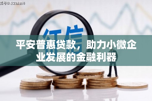九龙城平安普惠贷款，助力小微企业发展的金融利器
