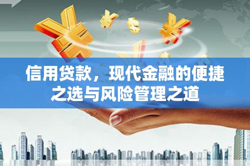 九龙城信用贷款，现代金融的便捷之选与风险管理之道