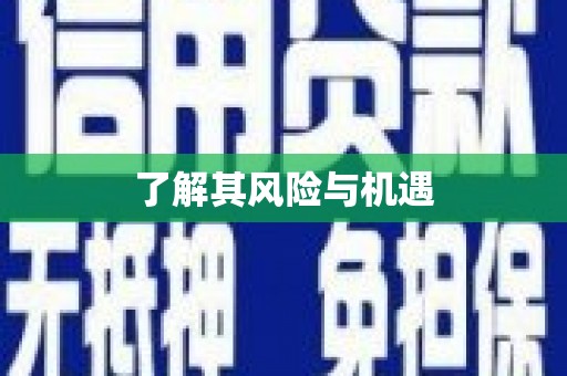 九龙城了解其风险与机遇