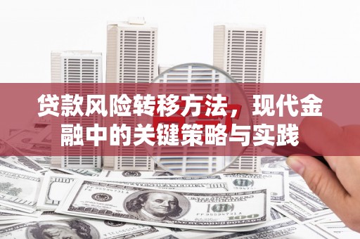 九龙城贷款风险转移方法，现代金融中的关键策略与实践
