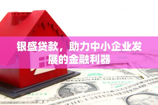 九龙城银盛贷款，助力中小企业发展的金融利器