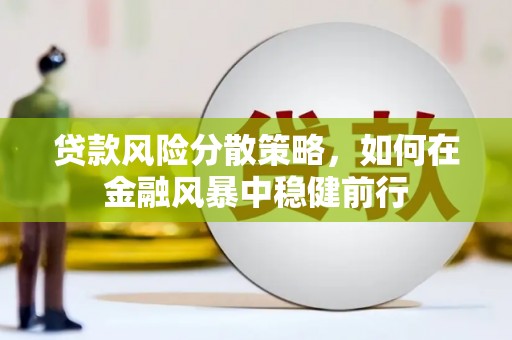 九龙城贷款风险分散策略，如何在金融风暴中稳健前行