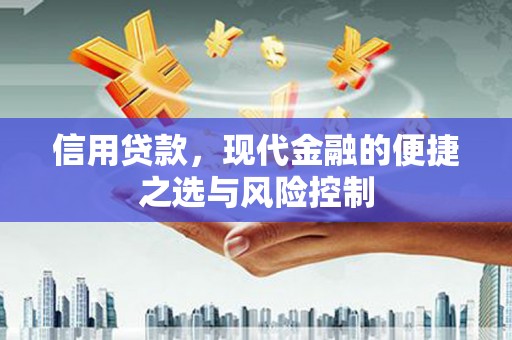 九龙城信用贷款，现代金融的便捷之选与风险控制