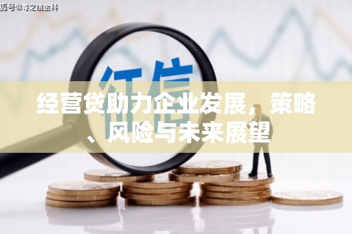 九龙城经营贷助力企业发展，策略、风险与未来展望