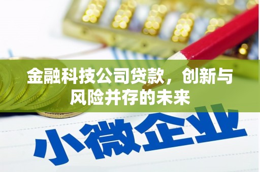 九龙城金融科技公司贷款，创新与风险并存的未来