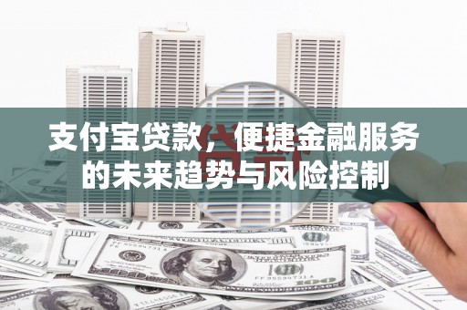 九龙城支付宝贷款，便捷金融服务的未来趋势与风险控制