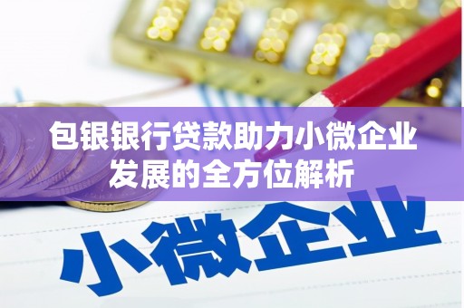 九龙城包银银行贷款助力小微企业发展的全方位解析