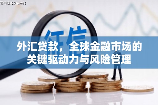 九龙城外汇贷款，全球金融市场的关键驱动力与风险管理