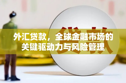 九龙城外汇贷款，全球金融市场的关键驱动力与风险管理