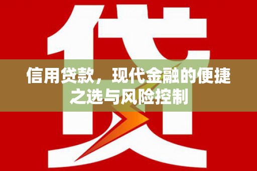 九龙城信用贷款，现代金融的便捷之选与风险控制