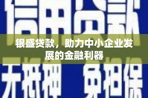 九龙城银盛贷款，助力中小企业发展的金融利器