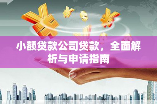 九龙城小额贷款公司贷款，全面解析与申请指南
