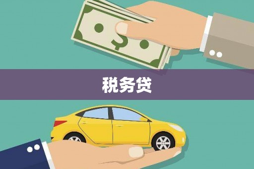 九龙城税务贷