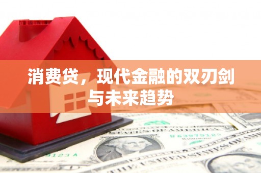 九龙城消费贷，现代金融的双刃剑与未来趋势