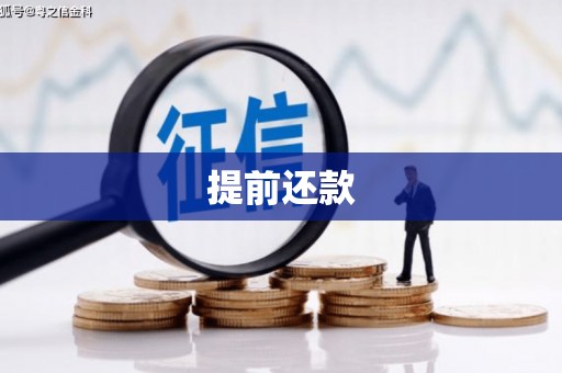 九龙城提前还款