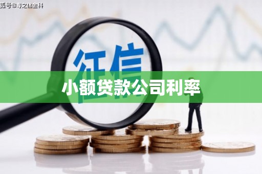 九龙城小额贷款公司利率