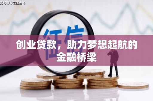 九龙城创业贷款，助力梦想起航的金融桥梁