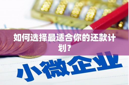 九龙城如何选择最适合你的还款计划？