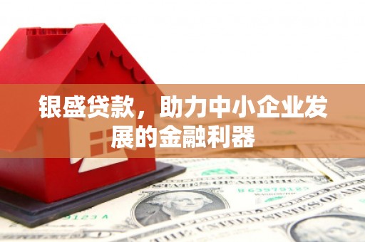 九龙城银盛贷款，助力中小企业发展的金融利器