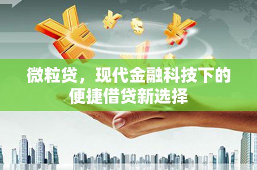九龙城微粒贷，现代金融科技下的便捷借贷新选择