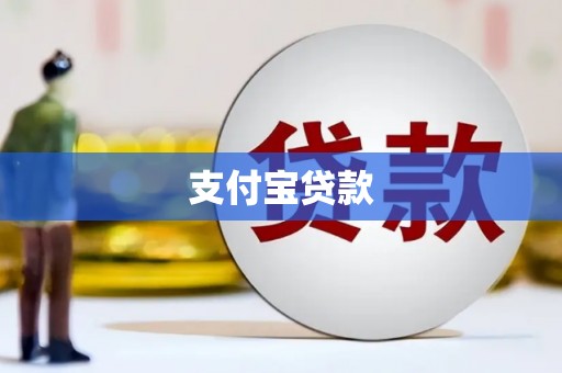 九龙城支付宝贷款