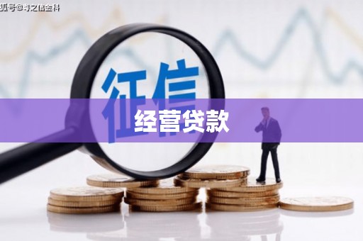 九龙城经营贷款