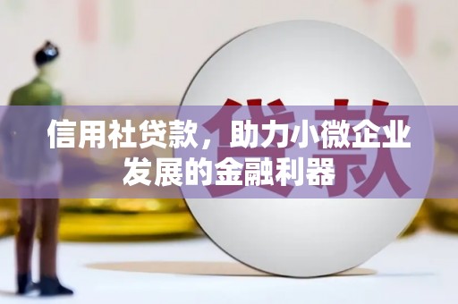 九龙城信用社贷款，助力小微企业发展的金融利器