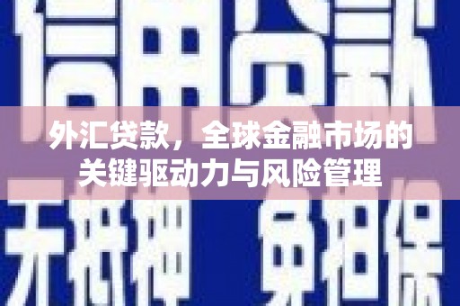 九龙城外汇贷款，全球金融市场的关键驱动力与风险管理