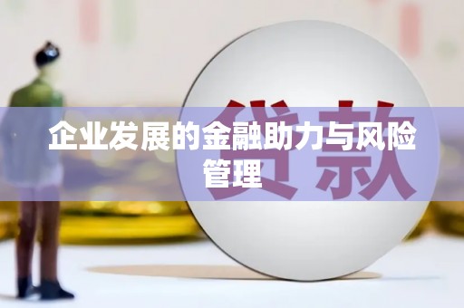 九龙城企业发展的金融助力与风险管理