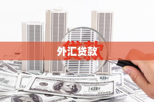 九龙城外汇贷款