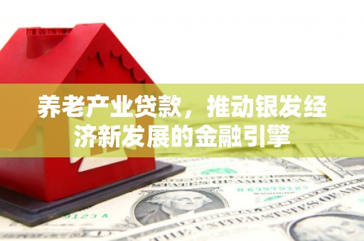 九龙城养老产业贷款，推动银发经济新发展的金融引擎
