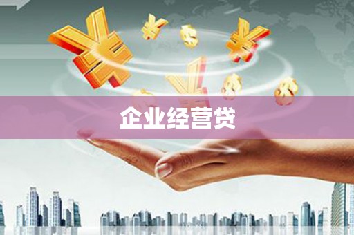 九龙城企业经营贷