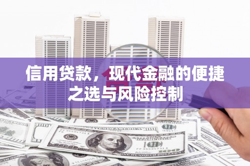 九龙城信用贷款，现代金融的便捷之选与风险控制