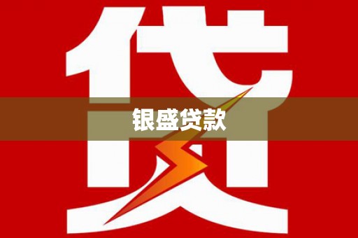 九龙城银盛贷款
