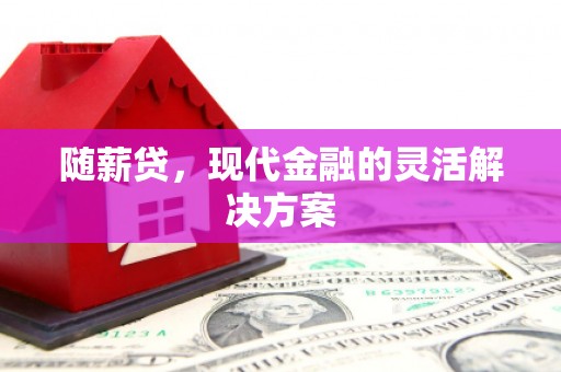 九龙城随薪贷，现代金融的灵活解决方案