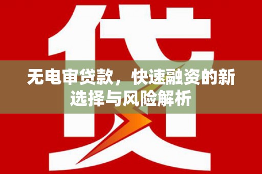 九龙城无电审贷款，快速融资的新选择与风险解析
