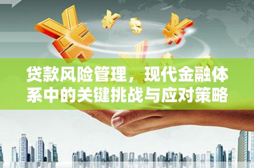 九龙城贷款风险管理，现代金融体系中的关键挑战与应对策略