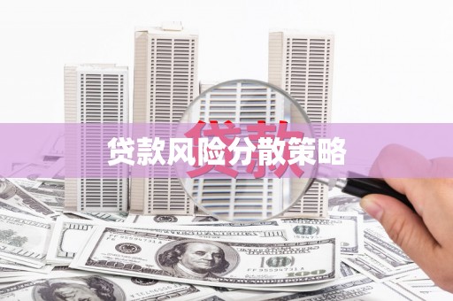 九龙城贷款风险分散策略