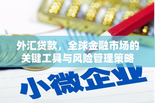 九龙城外汇贷款，全球金融市场的关键工具与风险管理策略
