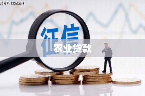 九龙城农业贷款