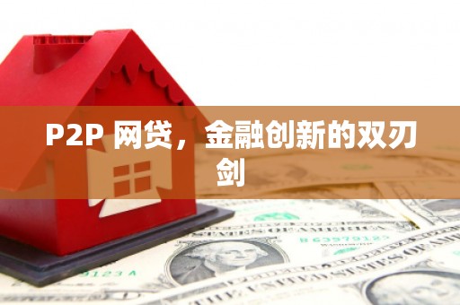 九龙城P2P 网贷，金融创新的双刃剑