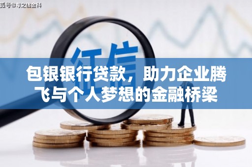 九龙城包银银行贷款，助力企业腾飞与个人梦想的金融桥梁