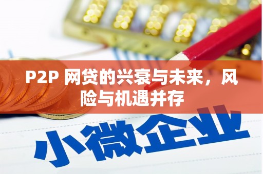 九龙城P2P 网贷的兴衰与未来，风险与机遇并存