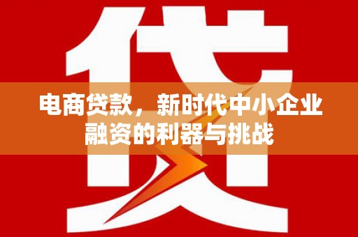 九龙城电商贷款，新时代中小企业融资的利器与挑战