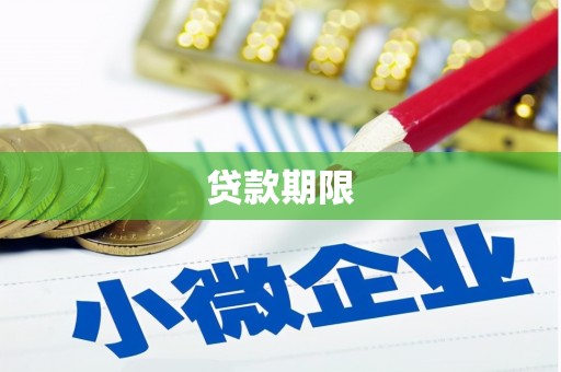 九龙城贷款期限