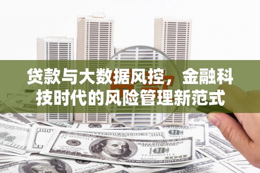 九龙城贷款与大数据风控，金融科技时代的风险管理新范式