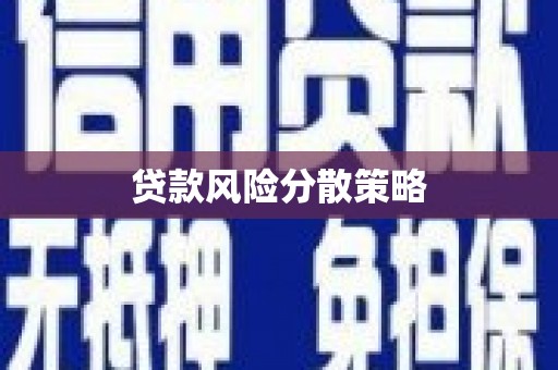 九龙城贷款风险分散策略