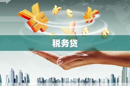 九龙城税务贷
